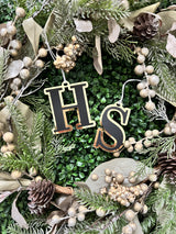 Letter / initial ornament