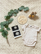 Baby [surname] coming pregnancy announcement plaque